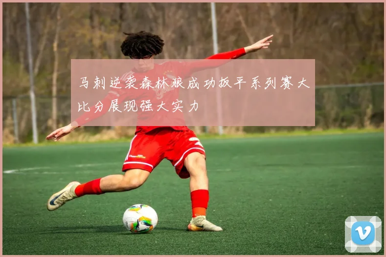 马刺逆袭森林狼成功扳平系列赛大比分展现强大实力