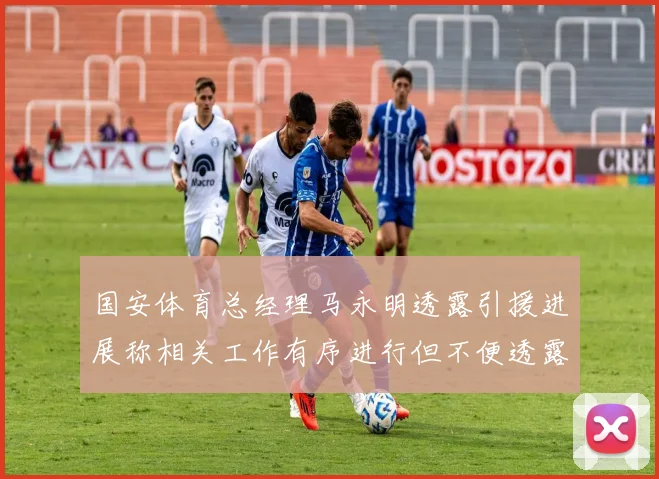 国安体育总经理马永明透露引援进展称相关工作有序进行但不便透露名字