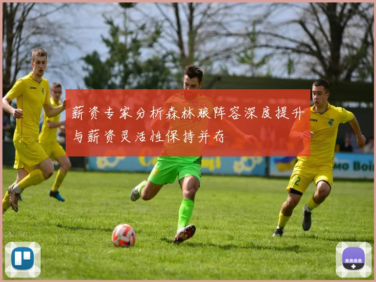薪资专家分析森林狼阵容深度提升与薪资灵活性保持并存